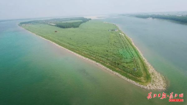 这段长江，有生态涵养区给鱼“让路”