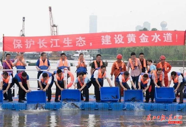 这段长江，有生态涵养区给鱼“让路”