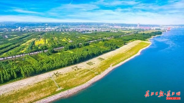 这段长江，有生态涵养区给鱼“让路”