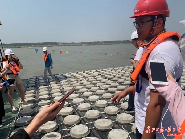 这段长江，有生态涵养区给鱼“让路”