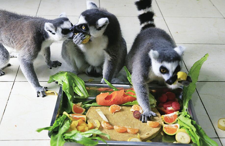 吃“月饼”过中秋