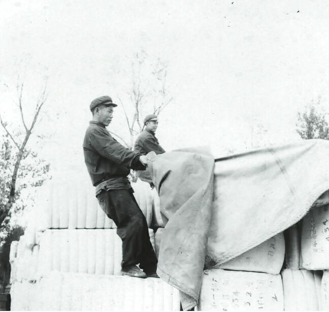 [家国同梦70年]购买战斗机支援抗美援朝——“红色资本家”苗海南的传奇人生