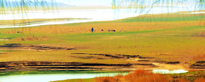 首届中国东营黄河口散文大会即将在山东利津召开