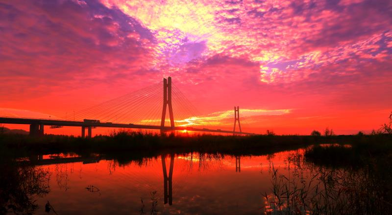 首届中国东营黄河口散文大会即将在山东利津召开