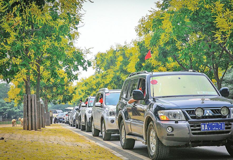 今年上半年82.6%的车主有过自驾游经历 自驾旅游再迎发展“风口”