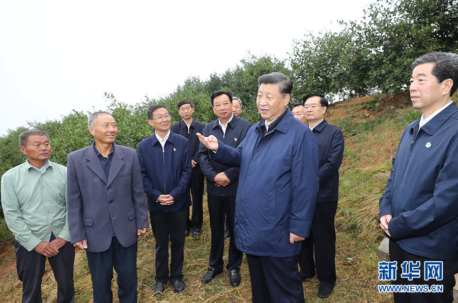 组图：习近平在河南考察
