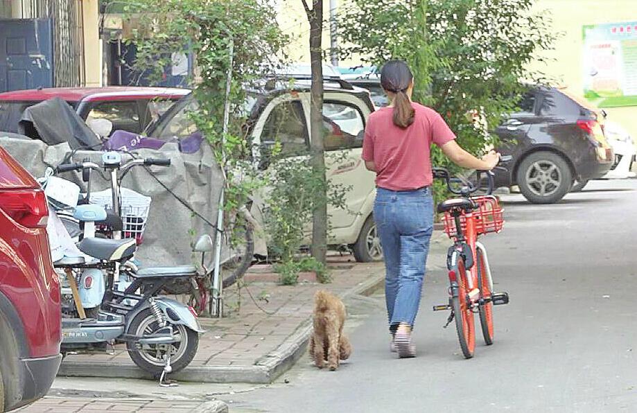 济南向不文明养犬行为“宣战” 一天查处上百名不文明养犬人