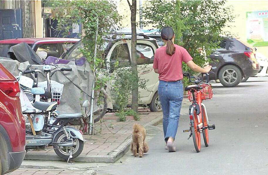 管好“汪汪队”，市民有话说 近七成受访人表示会加入社区“文明养犬自治委员会”