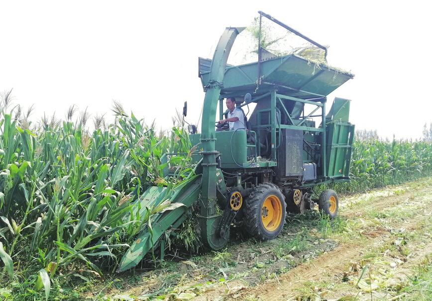 全面推进主要农作物生产全程机械化 农机化发展的“莱芜探索”