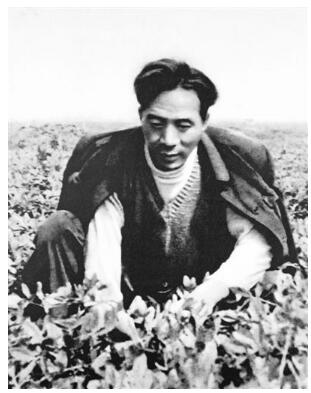 河南兰考原县委书记焦裕禄——县委书记的好榜样（最美奋斗者）
