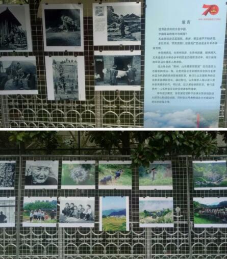 王彭竹《百鸟朝凤》、《我与泉城公园30年》、《贵州、山东摄影家联展》开幕