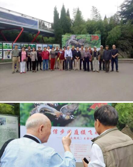 王彭竹《百鸟朝凤》、《我与泉城公园30年》、《贵州、山东摄影家联展》开幕