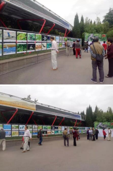 王彭竹《百鸟朝凤》、《我与泉城公园30年》、《贵州、山东摄影家联展》开幕