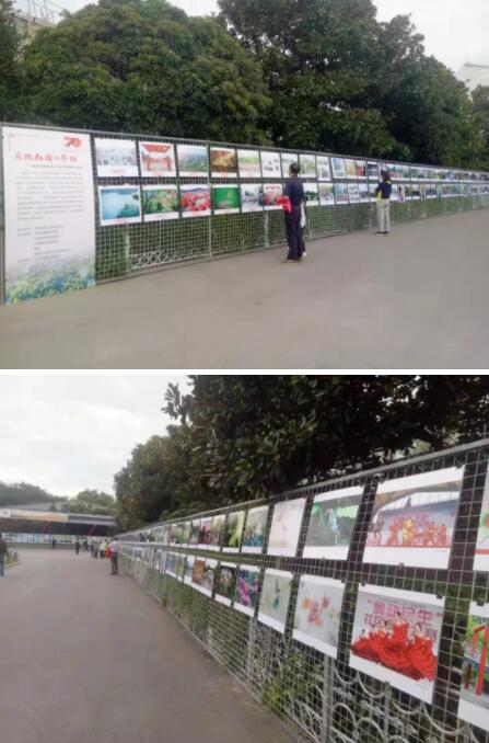 王彭竹《百鸟朝凤》、《我与泉城公园30年》、《贵州、山东摄影家联展》开幕