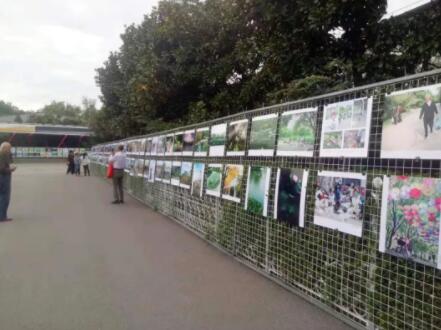 王彭竹《百鸟朝凤》、《我与泉城公园30年》、《贵州、山东摄影家联展》开幕