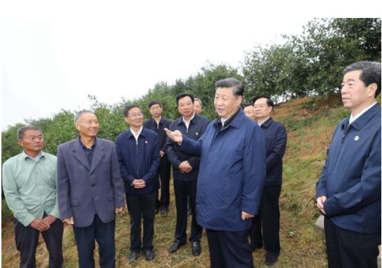 农业强 农村美 农民富 习近平这样关心三农问题——写在第二个“中国农民丰收节”到来之际