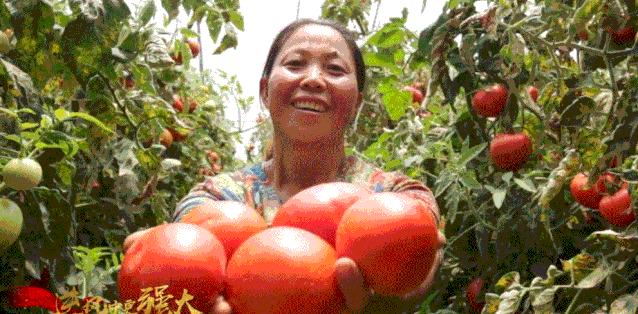 国，是心中国！