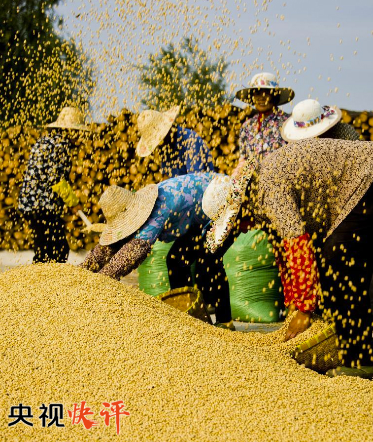【央视快评】在希望的田野上奏响新时代乡村振兴之歌