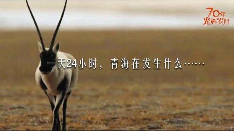 一天24小时，青海在发生什么