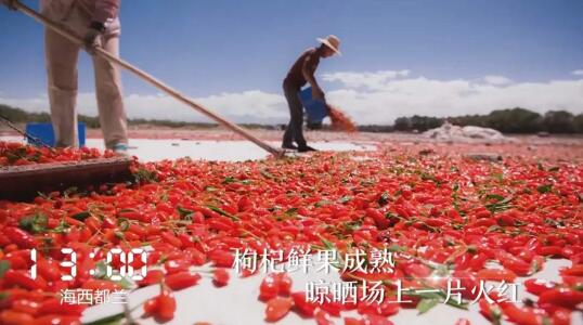 一天24小时，青海在发生什么