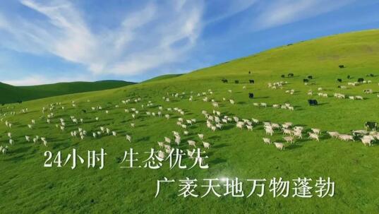 一天24小时，青海在发生什么