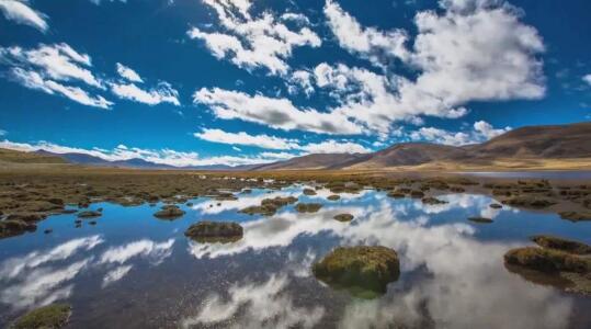 一天24小时，青海在发生什么