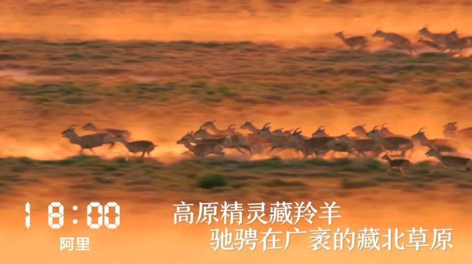 一天24小时，西藏在发生什么