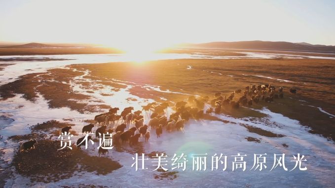 一天24小时，西藏在发生什么