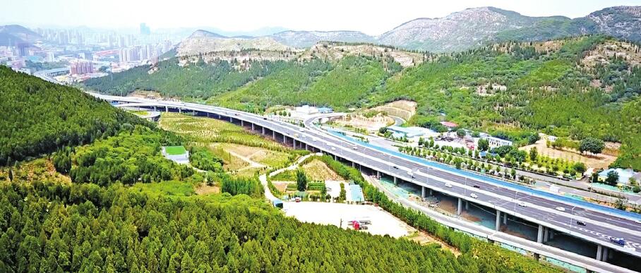 攻坚克难打造“魅力兴隆”实干担当助力“品质市中” 昂起二环南路科创产业龙头