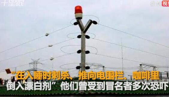 真相细思极恐！现实版孤儿怨上演 成年女子伪装孩童被收养