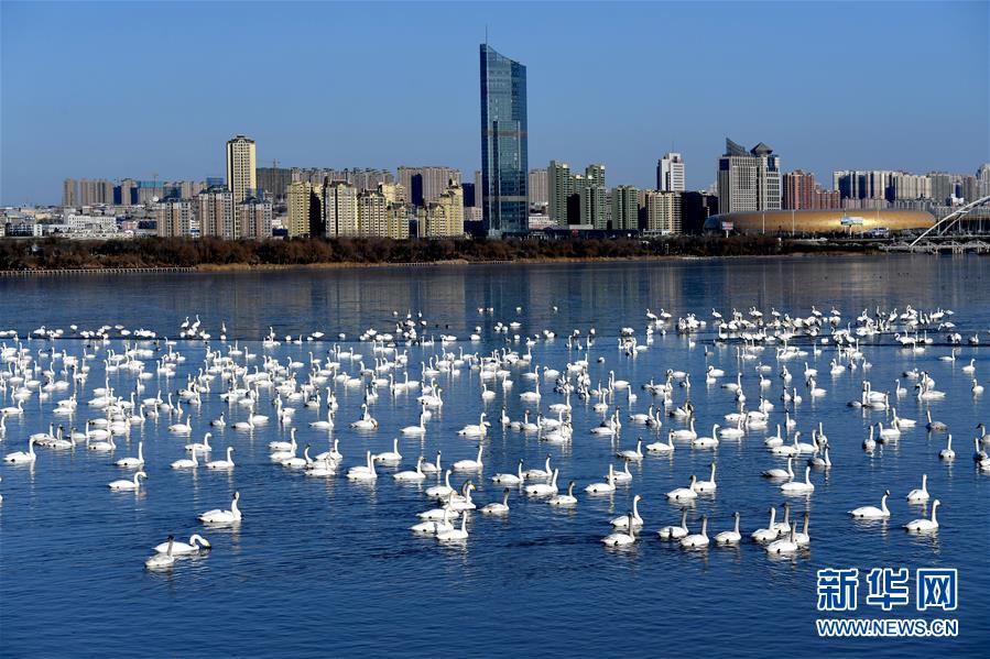 中国道路越走越宽广——社会主义中国实践启示录