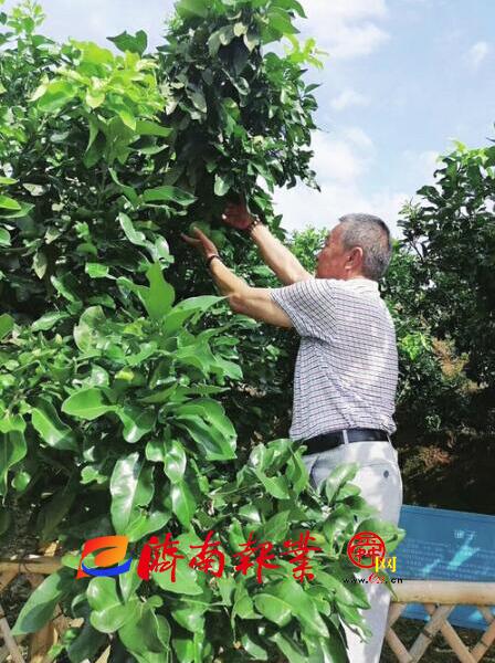 家是最小国 国是千万家——记者聆听小家庭的“家国情怀”