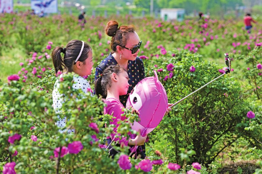 平阴擦亮三张名片 这四件事未来可期——庆祝新中国成立70周年平阴专场新闻发布会实录