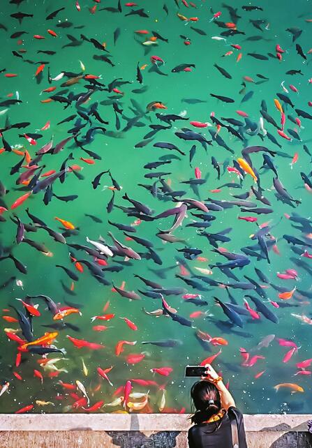 10月1日起灵岩寺门票降10元 夜游趵突泉半价