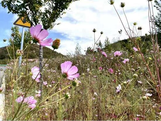 #晒晒美好山东#颜值“爆表”,朋友圈里“花式”晒蓝天