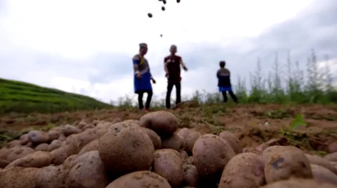 幸福在哪里：③共和国的“大动脉”
