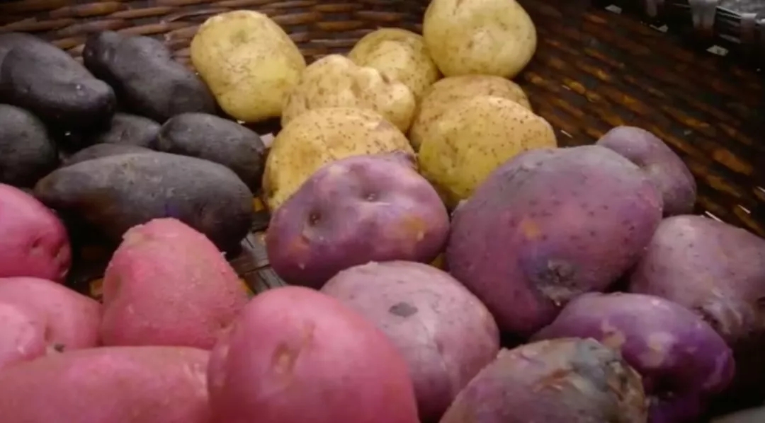 幸福在哪里：③共和国的“大动脉”