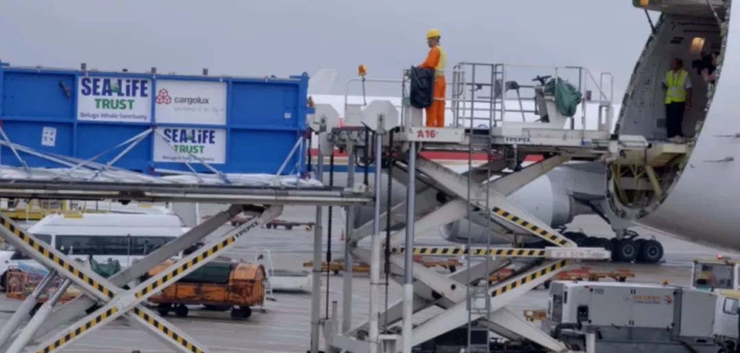 幸福在哪里：③共和国的“大动脉”