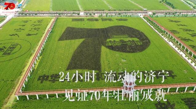 1天24小时,济宁在发生什么……