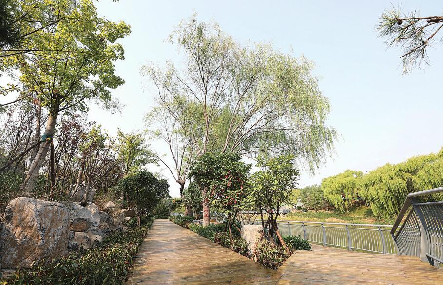 济南城北最美新地标 48公里小清河风貌带美不胜收