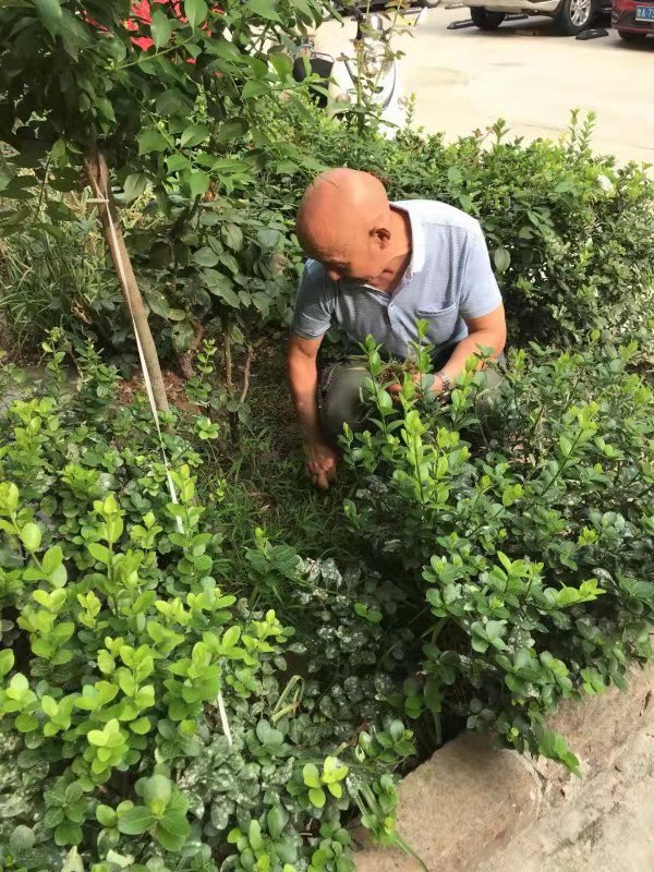 百名青年记者走基层丨“闲不住”的免检楼楼长老周