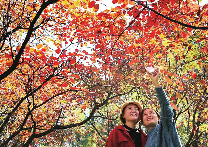 红叶谷姹紫嫣红秋色美