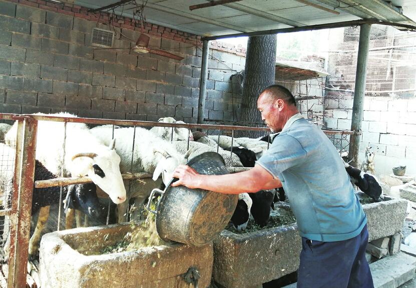 精准施策 探索创新 积分制扶贫出实效 平阴让扶贫与扶智扶志深度融合