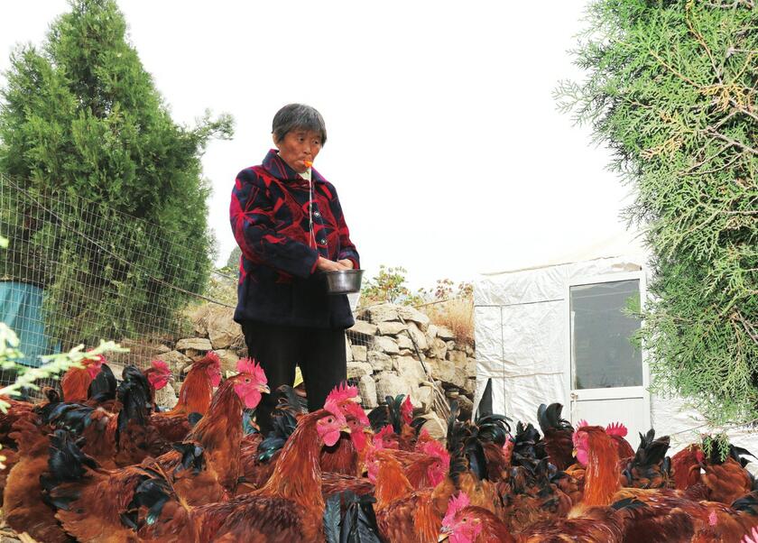 精准施策 探索创新 积分制扶贫出实效 平阴让扶贫与扶智扶志深度融合