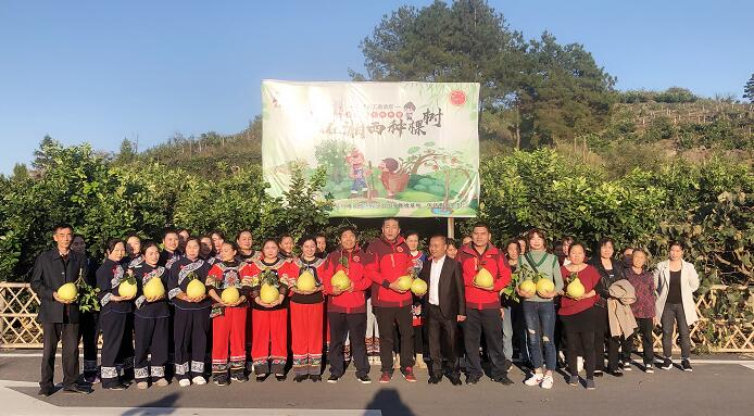 湘西百姓山歌感谢济南亲人 泉城义工“我在湘西种棵树”再添新果