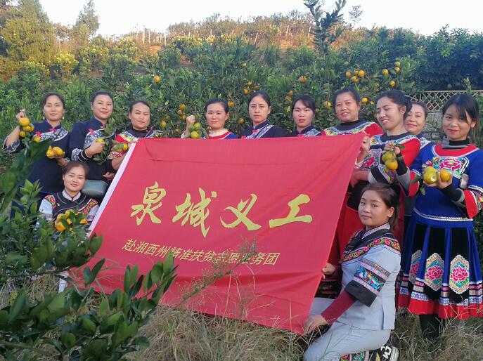 湘西百姓山歌感谢济南亲人 泉城义工“我在湘西种棵树”再添新果