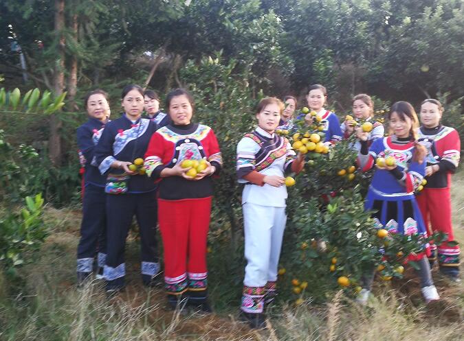 湘西百姓山歌感谢济南亲人 泉城义工“我在湘西种棵树”再添新果