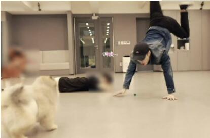 张艺兴倒立训狗 亲自上阵示范倒立！