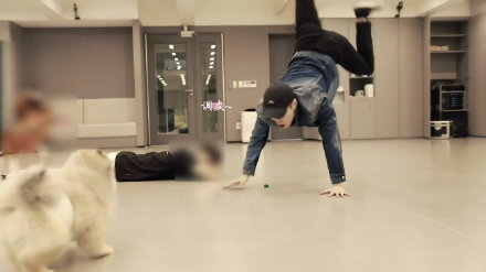 张艺兴倒立逗狗样子超可爱 网友:希望我是那条狗!