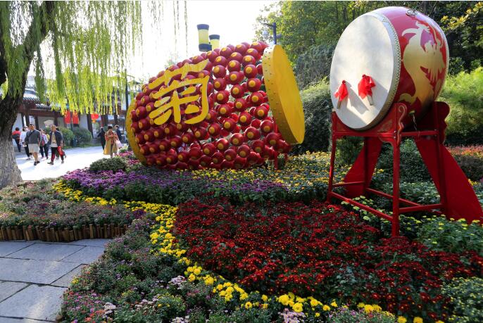 万菊缤纷耀趵突